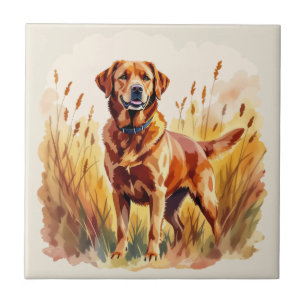 Vosrode Labradord retriever hond Tegeltje