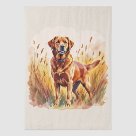 Vosrode Labradord retriever hond Tissuepapier (Voorkant)