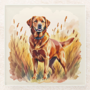 Vosrode Labradord retrieverhond Glazen Onderzetter