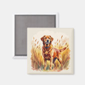 Vosrode Labradord retrieverhond Magneet (Voorkant / Achterkant)