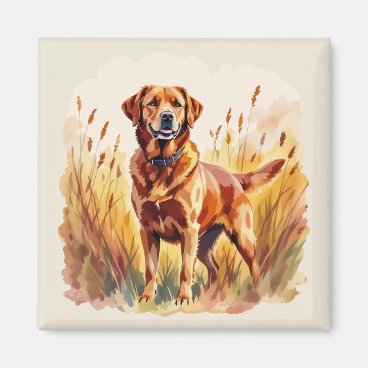 Vosrode Labradord retrieverhond Magneet (Voorkant)