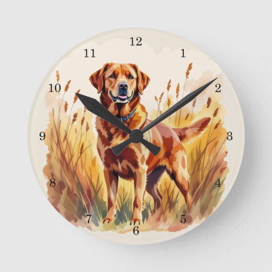 Vosrode Labradord retrieverhond Ronde Klok (Voorkant)