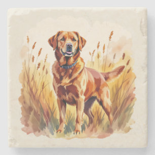 Vosrode Labradord retrieverhond Stenen Onderzetter