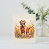 Vosrode Labradors retriever hond Kaart (Staand voorkant)