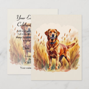 Vosrode Labradors retriever hond Kaart
