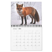 Vossen in de Natuur fotografie Kalender (Jan 2026)