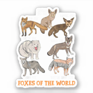 Vossen Van Over De Wereld Grappige Vossendingen Di Sticker