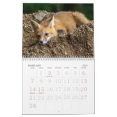 Vossen Zijn Pret Kalender (Feb 2027)