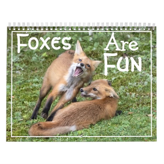 Vossen Zijn Pret Kalender (Hoes)