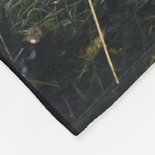 vossendeken, aanzuigdop, blankerd met vossenreet fleece deken (Hoek)