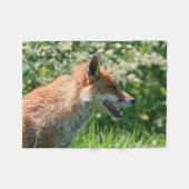 vossendeken, aanzuigdop, blankerd met vossenreet fleece deken (Voorkant (Horizontaal))