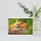 Vossenfamilie in het wild briefkaart (Staand voorkant)