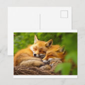 Vossenfamilie in het wild briefkaart (Voorkant / Achterkant)