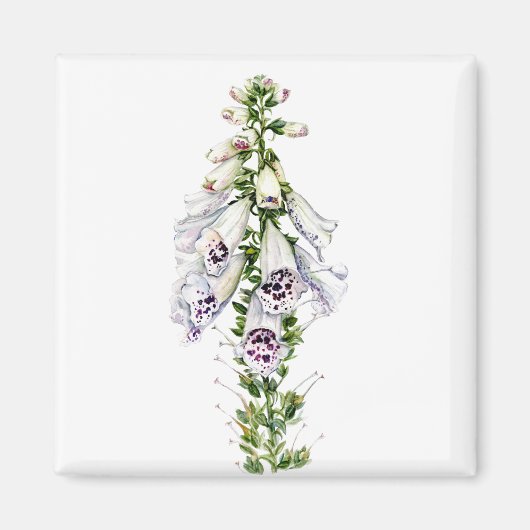 Vossenhandschoen bloem magneet (Voorkant)