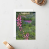 Vossenhandschoen in vaste tuin notitiekaartje (Voorkant / Achterkant in situ)