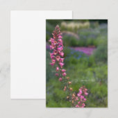 Vossenhandschoen in vaste tuin notitiekaartje (Voorkant / Achterkant)