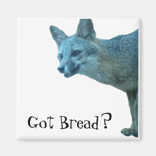 VOSSENMAGNEET MAGNEET (Voorkant)