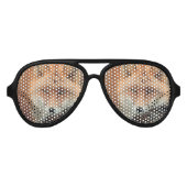 vossensoort aviator zonnebril (Voorkant)