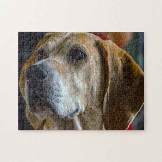 Vosshond Hond. Legpuzzel (Horizontaal)