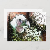 VOUDIGE VULTUUR BRIEFKAART (Voorkant / Achterkant)