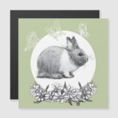 Vouw het konijn af. Potlood tekening (Voorkant / Achterkant)