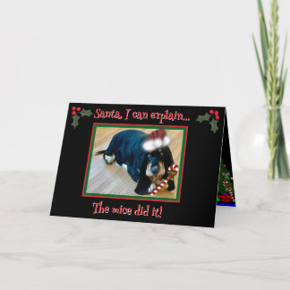 Vouwgroetkaart Kaart