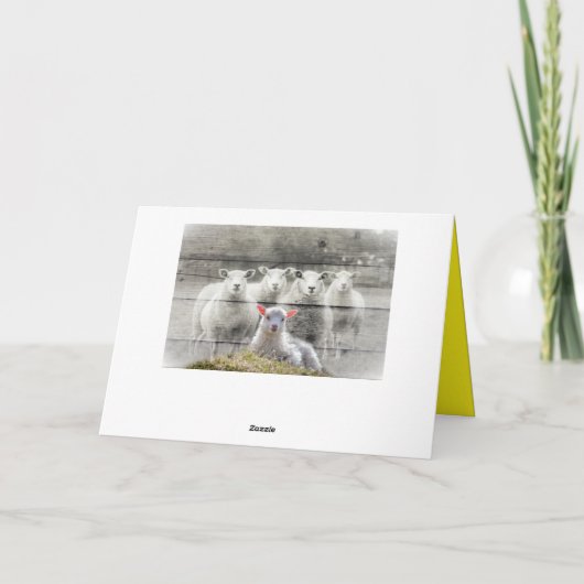 Vouwkaart Kaart (Achterkant)