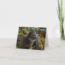 Vouwkaart met bedankje