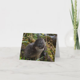 Vouwkaart met bedankje bedankkaart