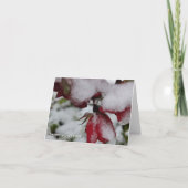 Vouwkaart met kerstgroet bedankkaart (Voorkant)