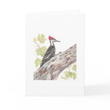 Vouwkaart - Pileated Woodpecker - 5x7" blanco