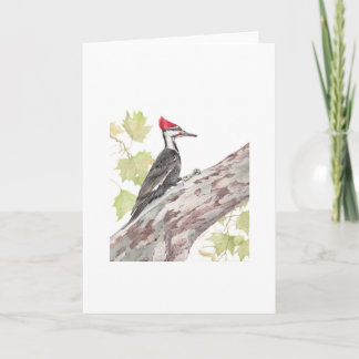 Vouwkaart - Pileated Woodpecker - 5x7" blanco Bedankkaart