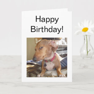 Vouwkaart Zijdelings Oog Hond Meme Kaart