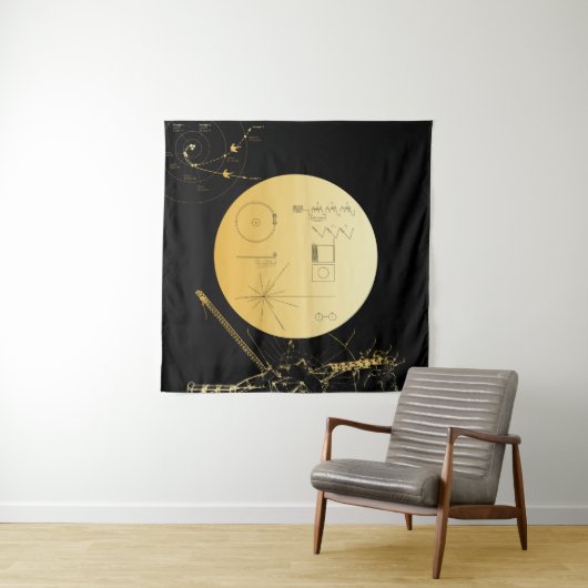 Voyager 1 Golden Record - Tapestry Wandkleed (In situ)