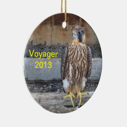 Voyager Ornament 2013 (Rechts)