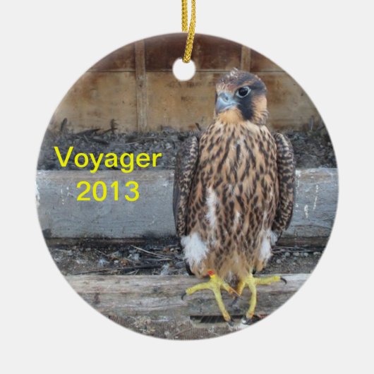 Voyager Ornament 2013 (Voorkant)