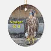 Voyager Ornament 2013 (Links)
