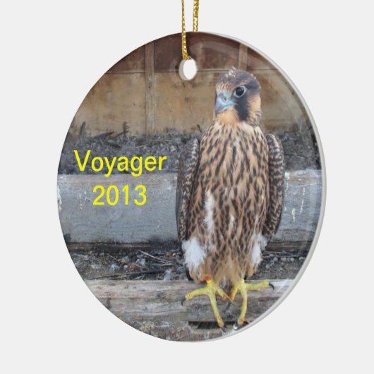 Voyager Ornament 2013 (Links)