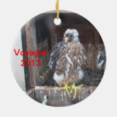 Voyager Ornament 2013 (Achterkant)