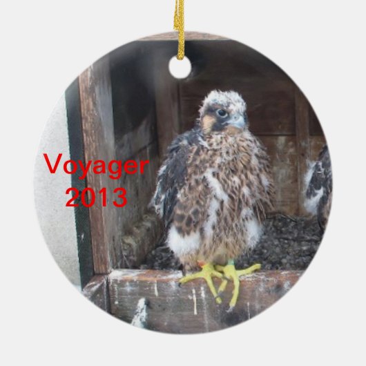 Voyager Ornament 2013 (Achterkant)