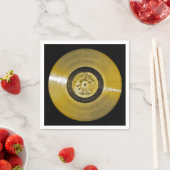 Voyager Spacecraft Golden Record Servet (Insitu)