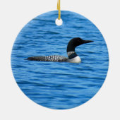 Voyaguers National Park Ornament (Achterkant)