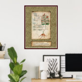 Voynich Bord 5 — Botanische illustratie Poster (Thuiskantoor)