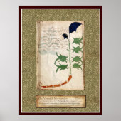Voynich Bord 6 Poster (Voorkant)
