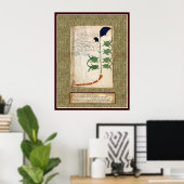 Voynich Bord 6 Poster (Thuiskantoor)