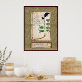 Voynich Bord 6 Poster (Keuken)