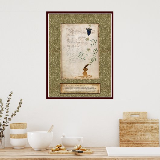 Voynich Bord 8 Poster (Keuken)