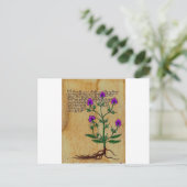 Voynich Herboristeria  RetroCharms Briefkaart (Staand voorkant)