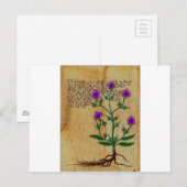 Voynich Herboristeria  RetroCharms Briefkaart (Voorkant / Achterkant)