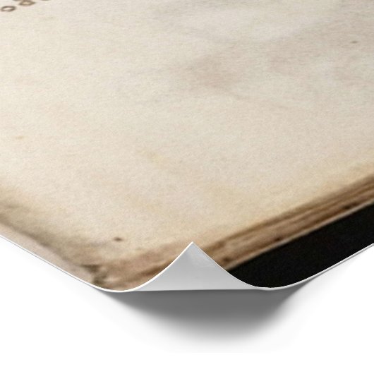 Voynich manuscript poster (Hoek)